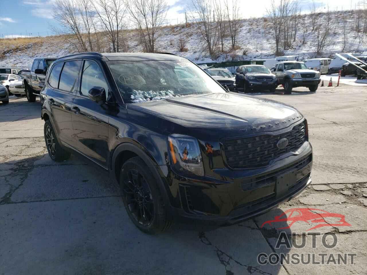 KIA TELLURIDE 2021 - 5XYP3DHC7MG172294