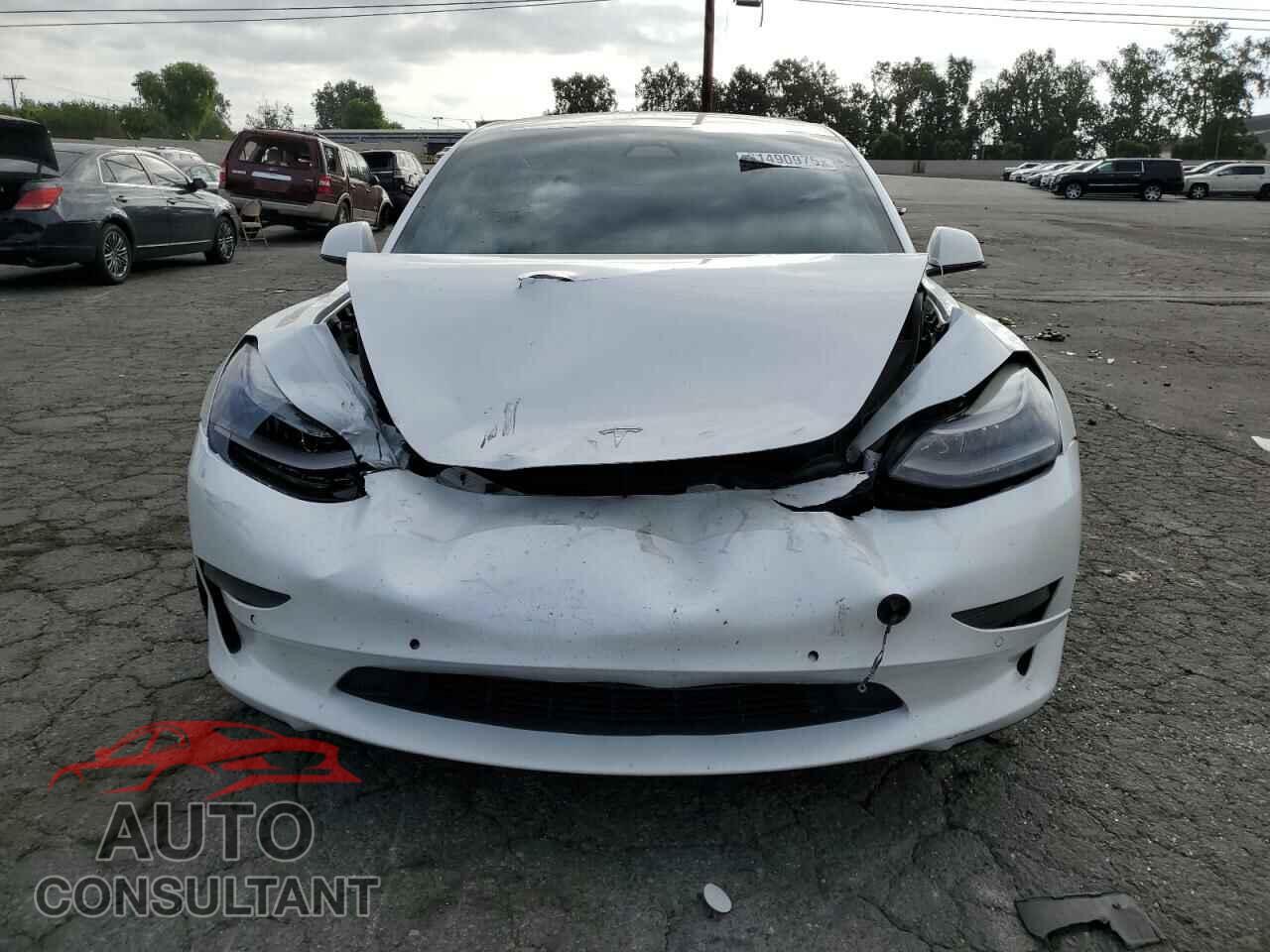 TESLA MODEL 3 2021 - 5YJ3E1EC9MF044187