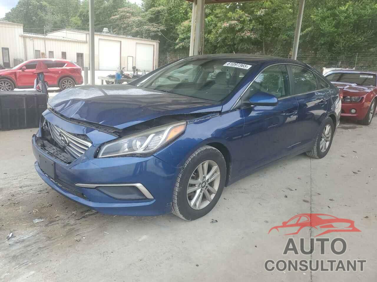 HYUNDAI SONATA 2016 - 5NPE24AF1GH370624