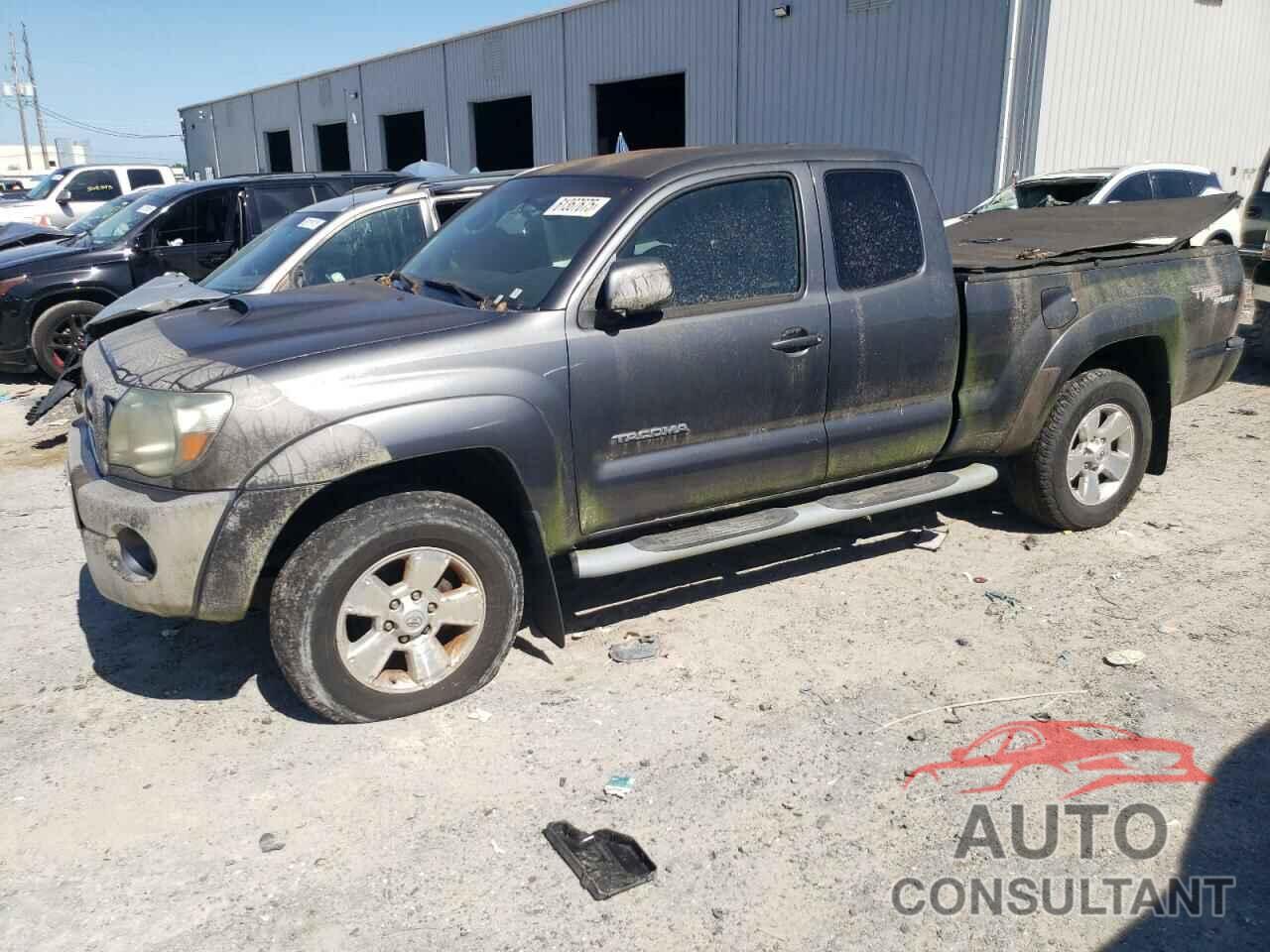 TOYOTA TACOMA 2009 - 5TEUU42N39Z656406