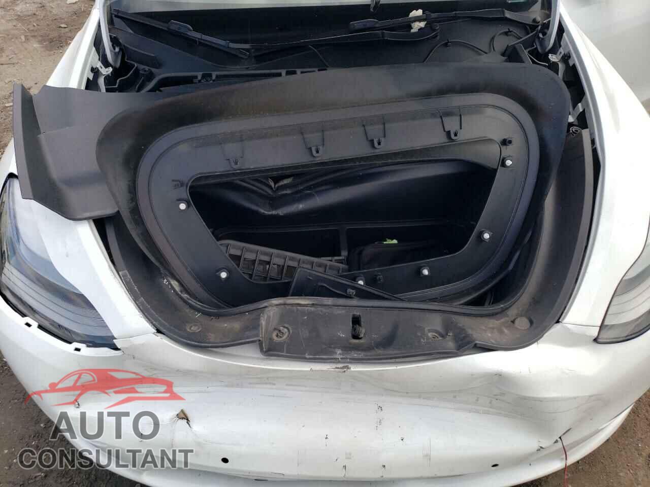 TESLA MODEL Y 2022 - 7SAYGDEF4NF389191