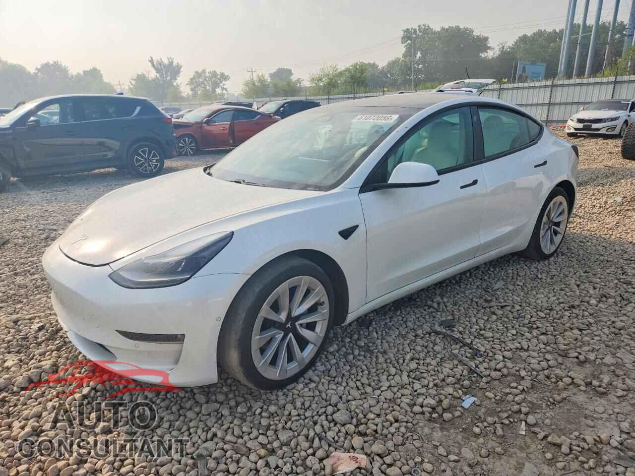TESLA MODEL 3 2021 - 5YJ3E1EB5MF077565