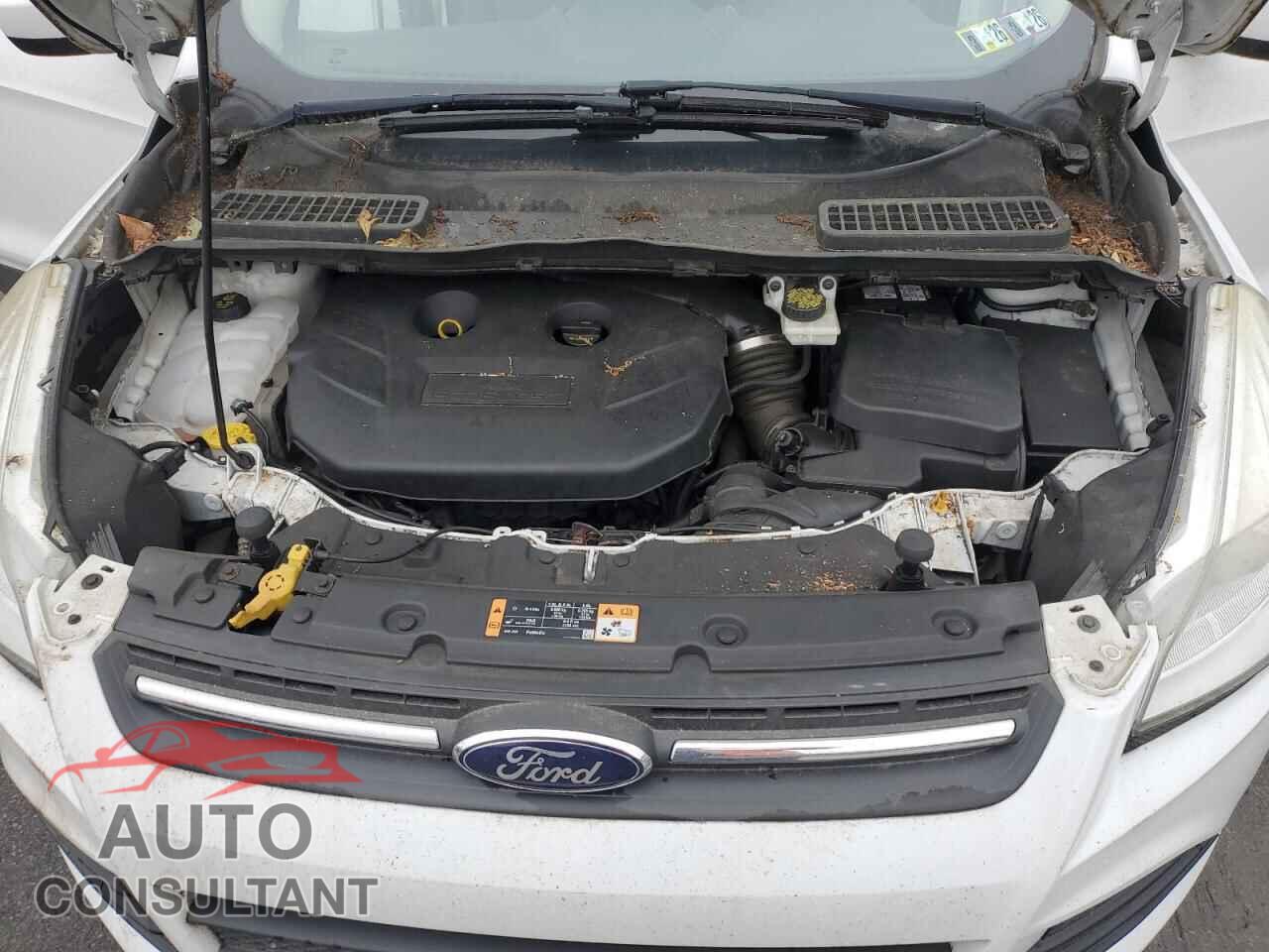 FORD ESCAPE 2014 - 1FMCU9G97EUE14432