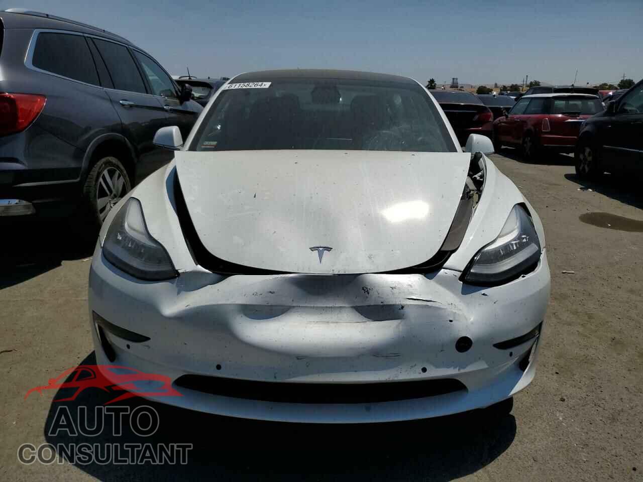 TESLA MODEL 3 2019 - 5YJ3E1EA1KF434504