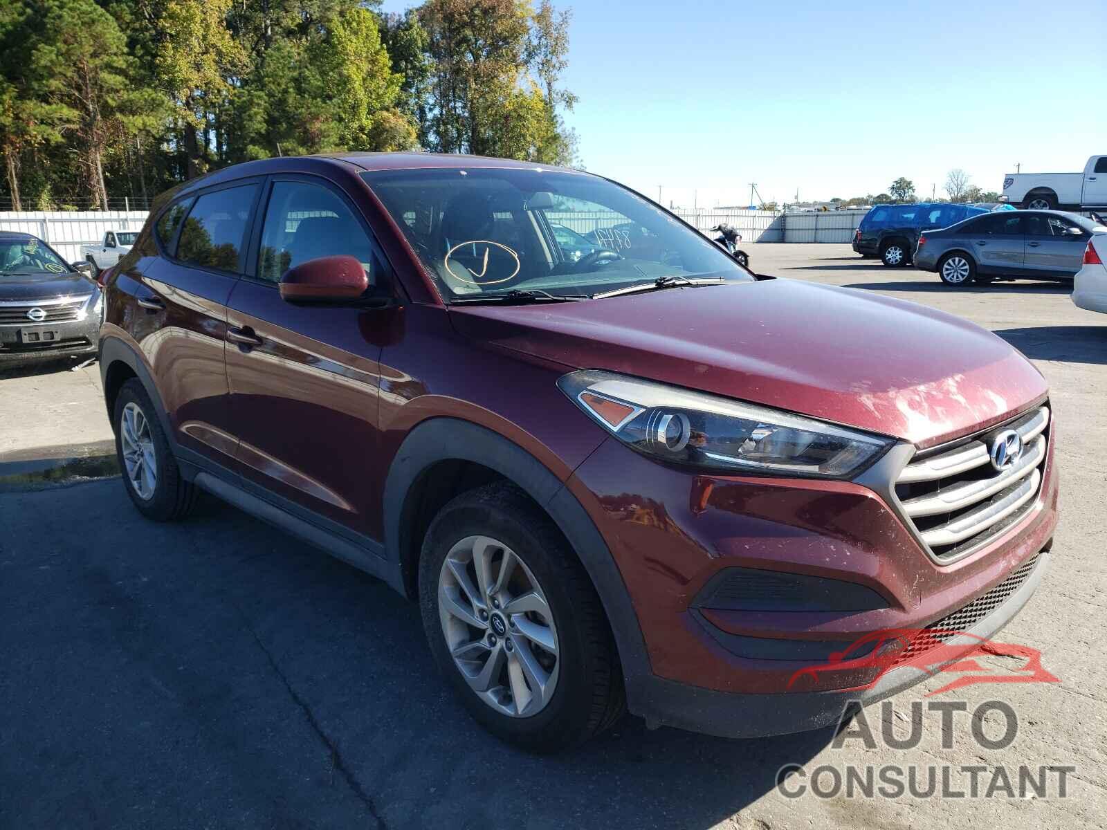 HYUNDAI TUCSON 2016 - KM8J23A43GU035230