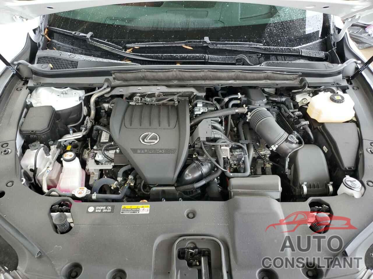 LEXUS RX 500H F 2024 - 2T2BCMEA2RC019916