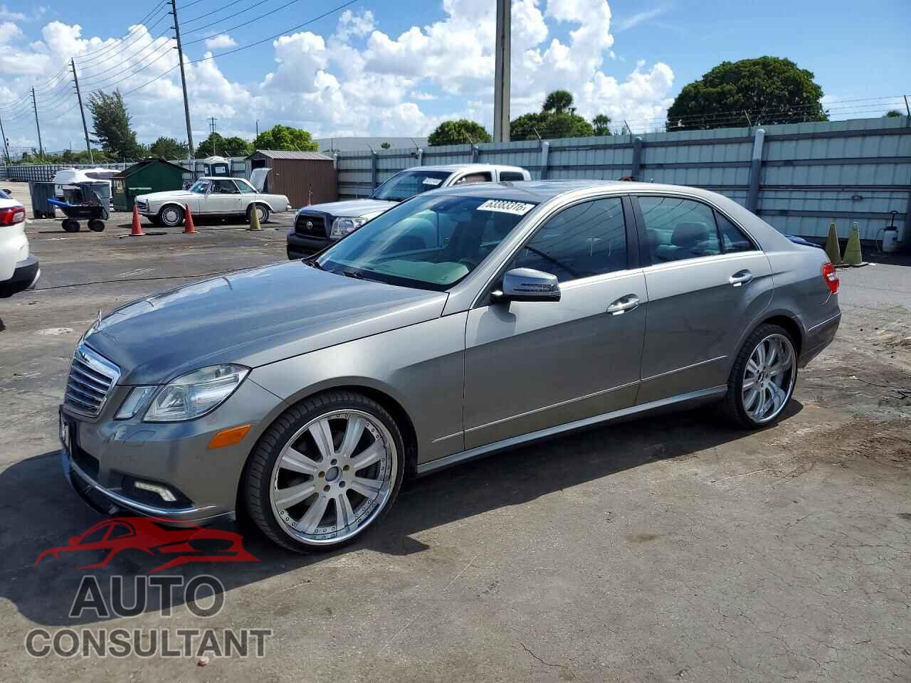 MERCEDES-BENZ E-CLASS 2010 - WDDHF8HBXAA233004