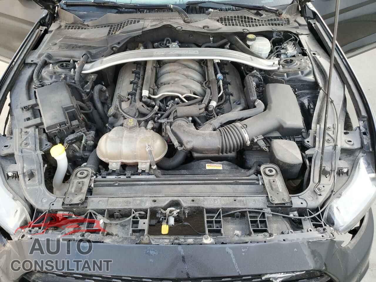 FORD MUSTANG 2017 - 1FA6P8CF0H5301120