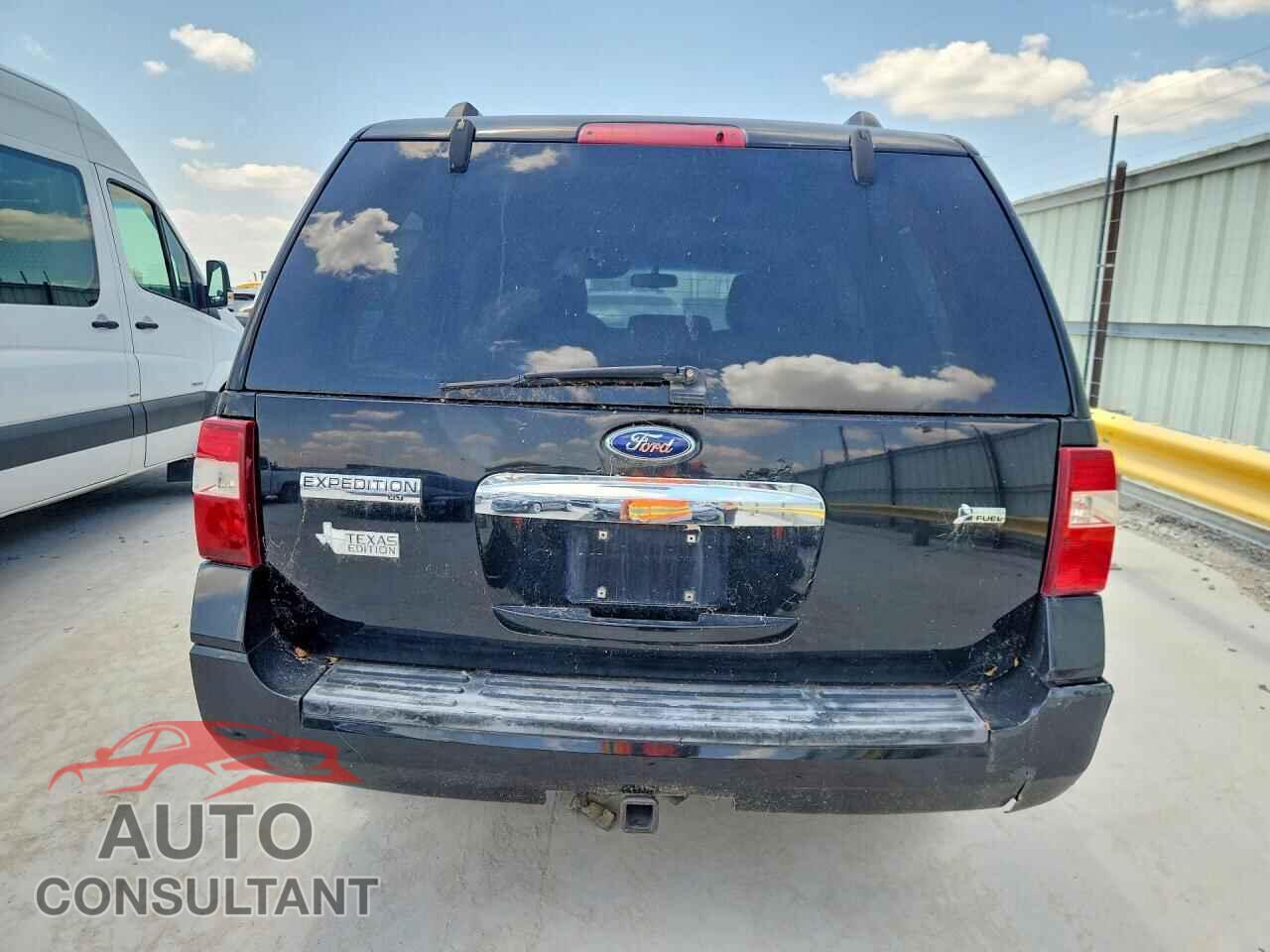 FORD EXPEDITION 2009 - 1FMFU15519LA00539