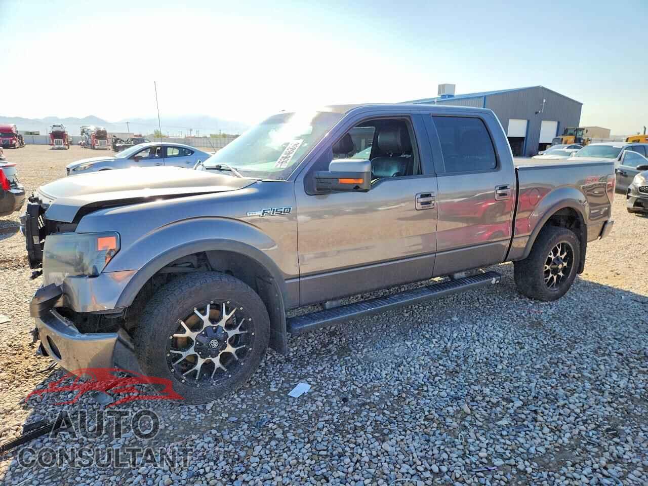 FORD F150 2014 - 1FTFW1EF6EFA52250