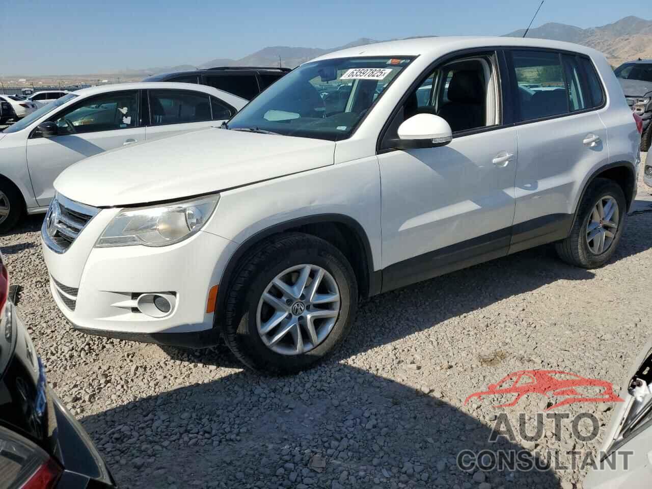 VOLKSWAGEN TIGUAN 2011 - WVGBV7AX1BW506298