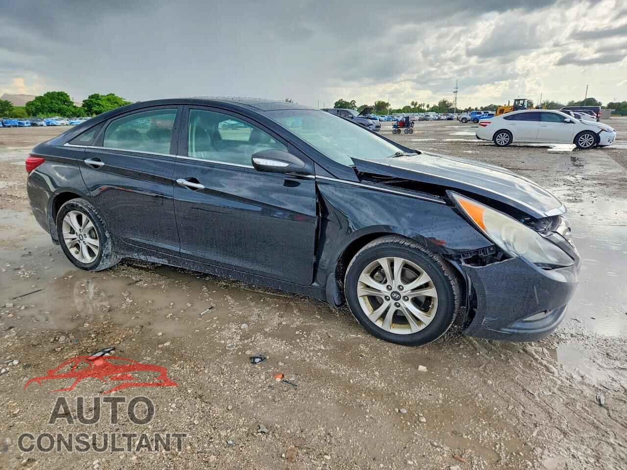 HYUNDAI SONATA 2013 - 5NPEC4AC8DH806044