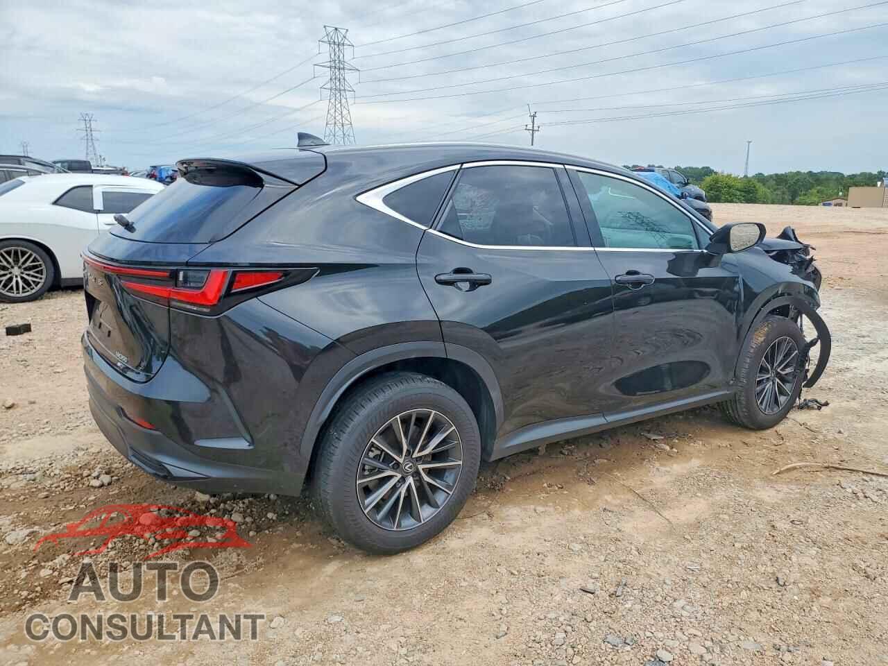 LEXUS NX 2025 - 2T2AGCEZ1SC092698