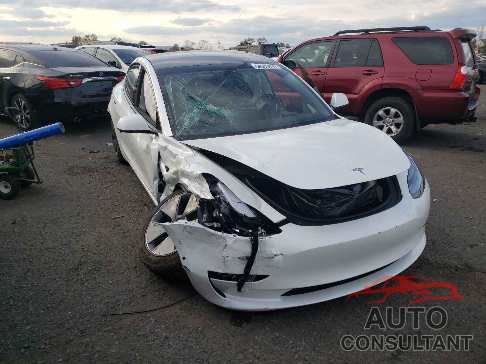 TESLA MODEL 3 2021 - 5YJ3E1EB9MF055536