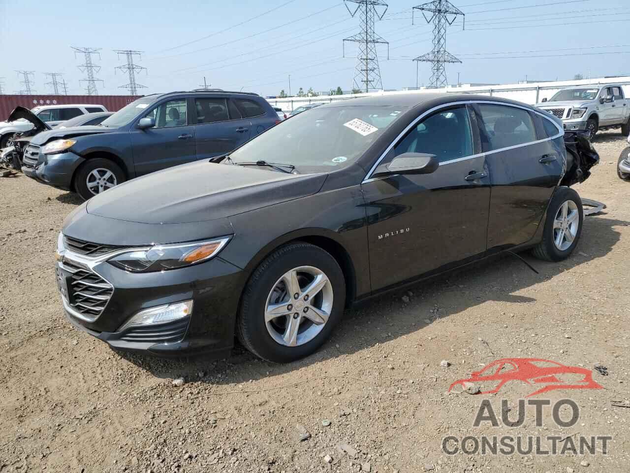 CHEVROLET MALIBU 2019 - 1G1ZB5ST7KF105715