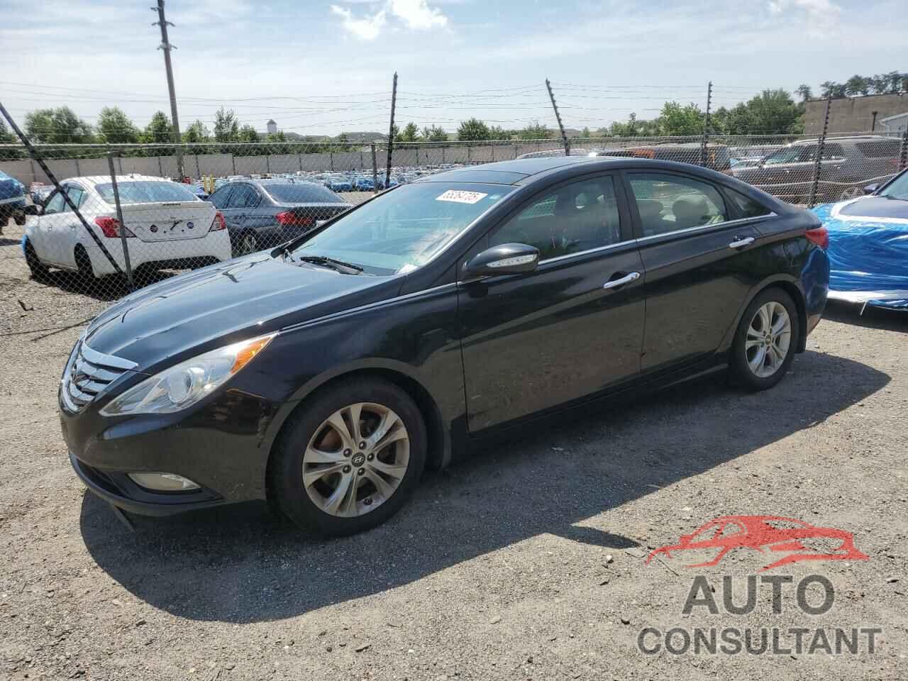 HYUNDAI SONATA 2013 - 5NPEC4AC0DH611149