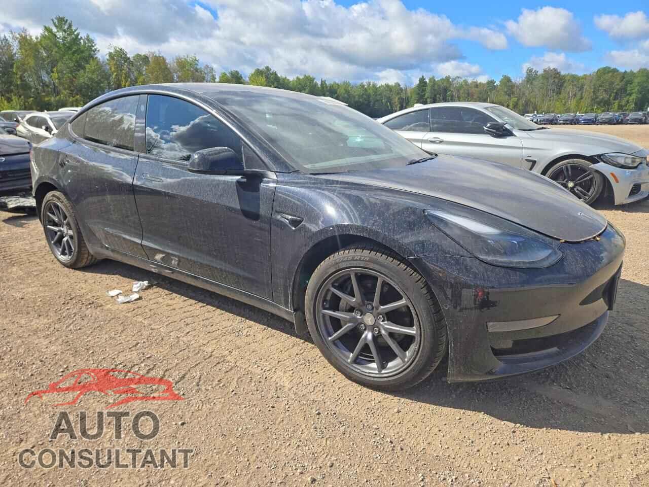 TESLA MODEL 3 2021 - 5YJ3E1EA1MF973031