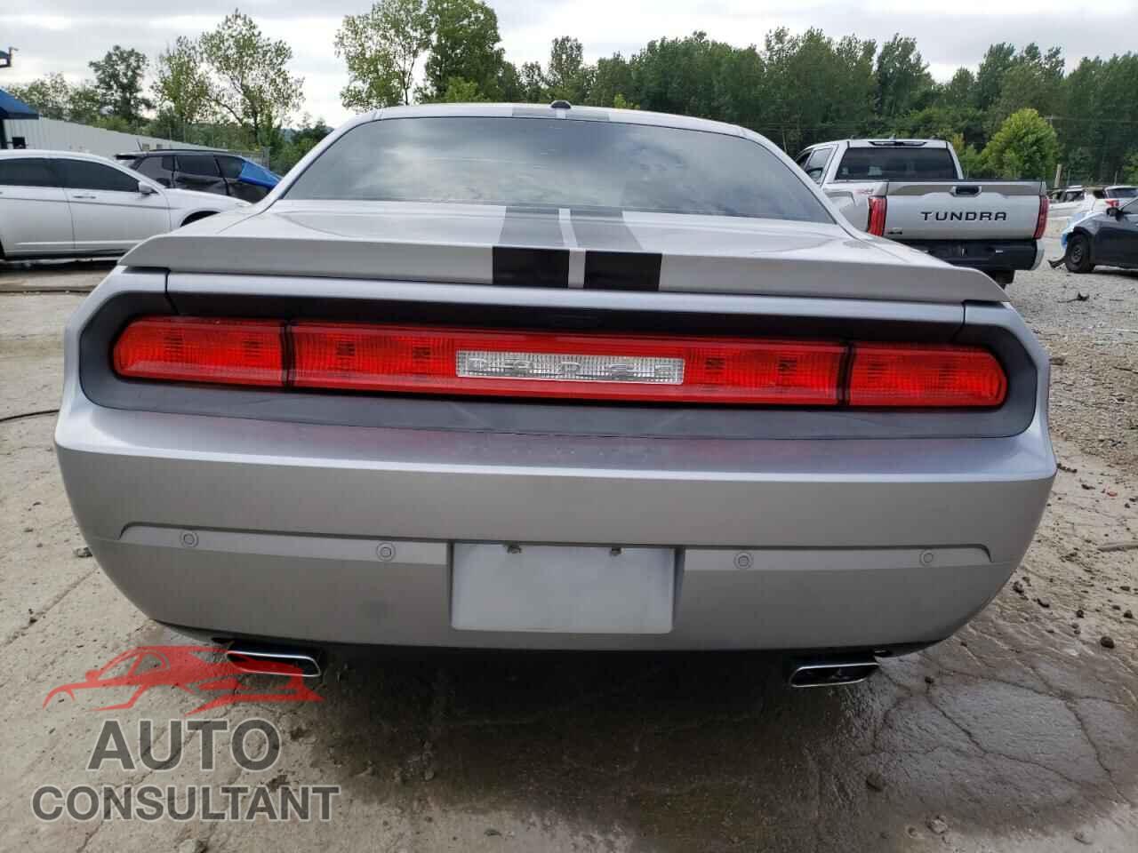 DODGE CHALLENGER 2013 - 2C3CDYBT7DH570302