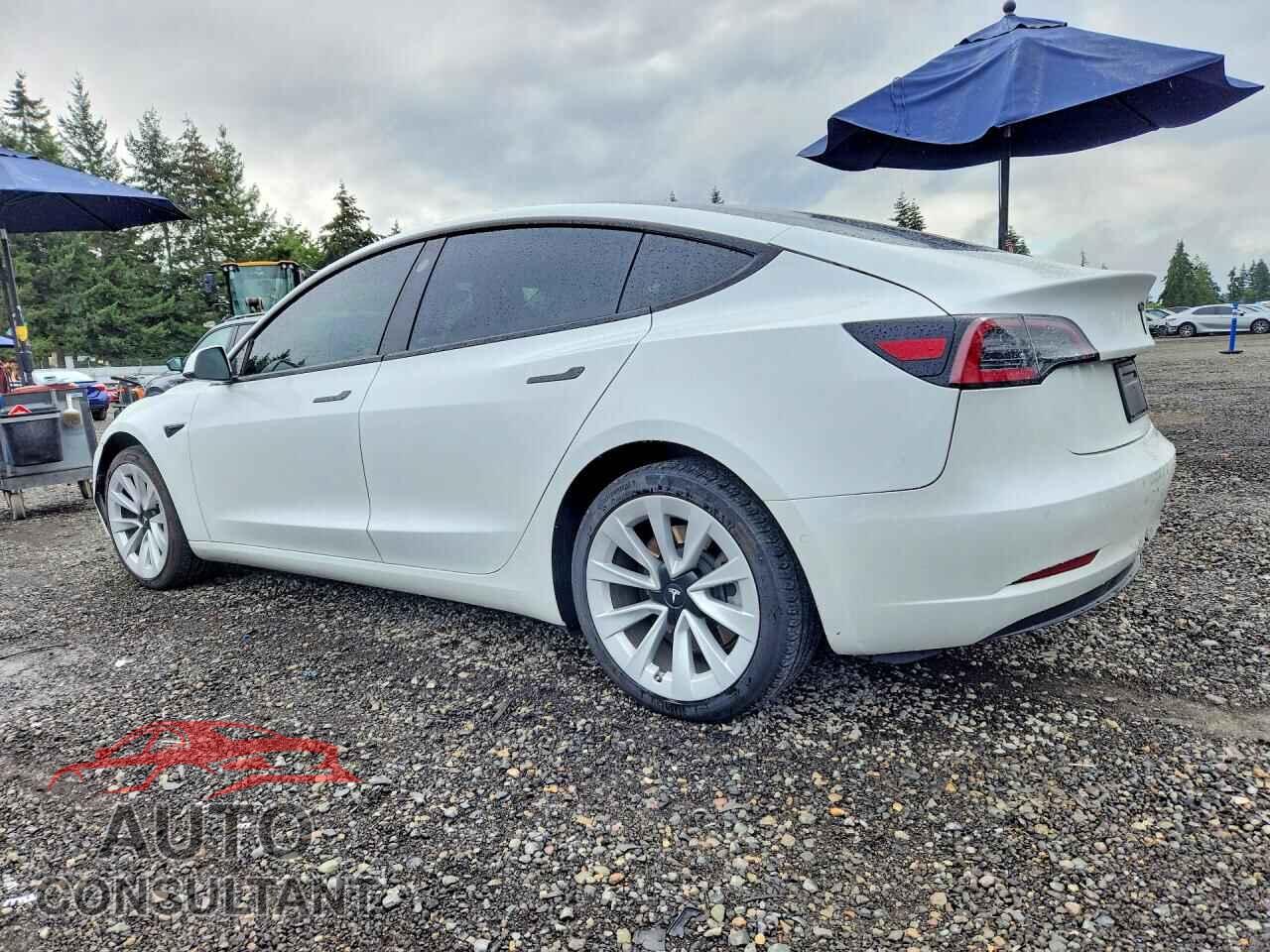 TESLA MODEL 3 2021 - 5YJ3E1EA2MF100971