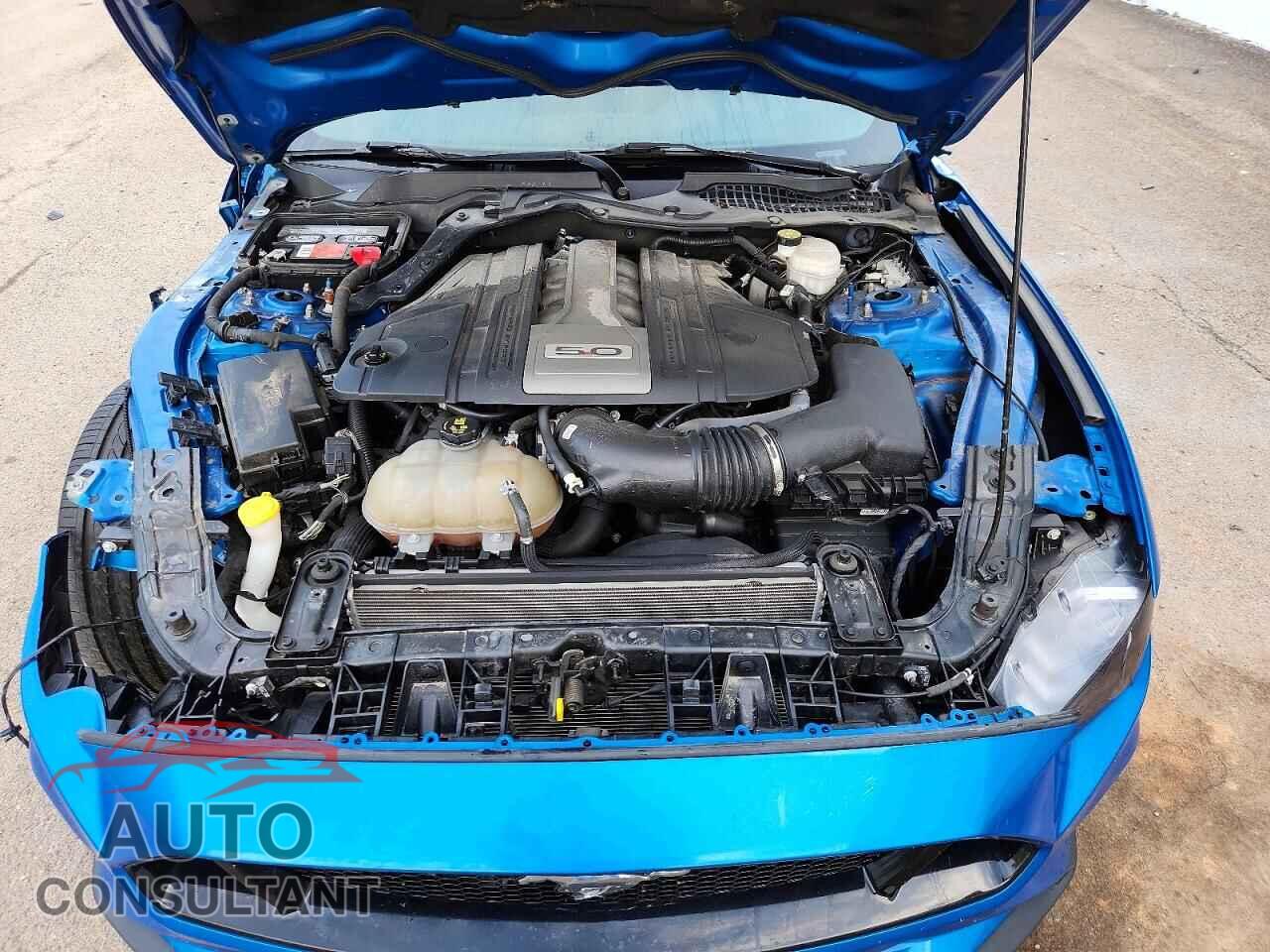 FORD MUSTANG 2019 - 1FA6P8CFXK5154795