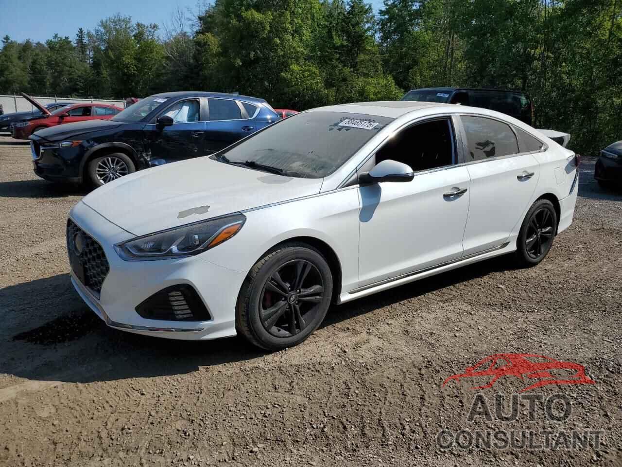 HYUNDAI SONATA 2018 - 5NPE34AF8JH703289