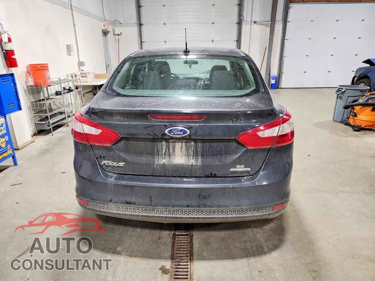 FORD FOCUS 2013 - 1FADP3F20DL245561