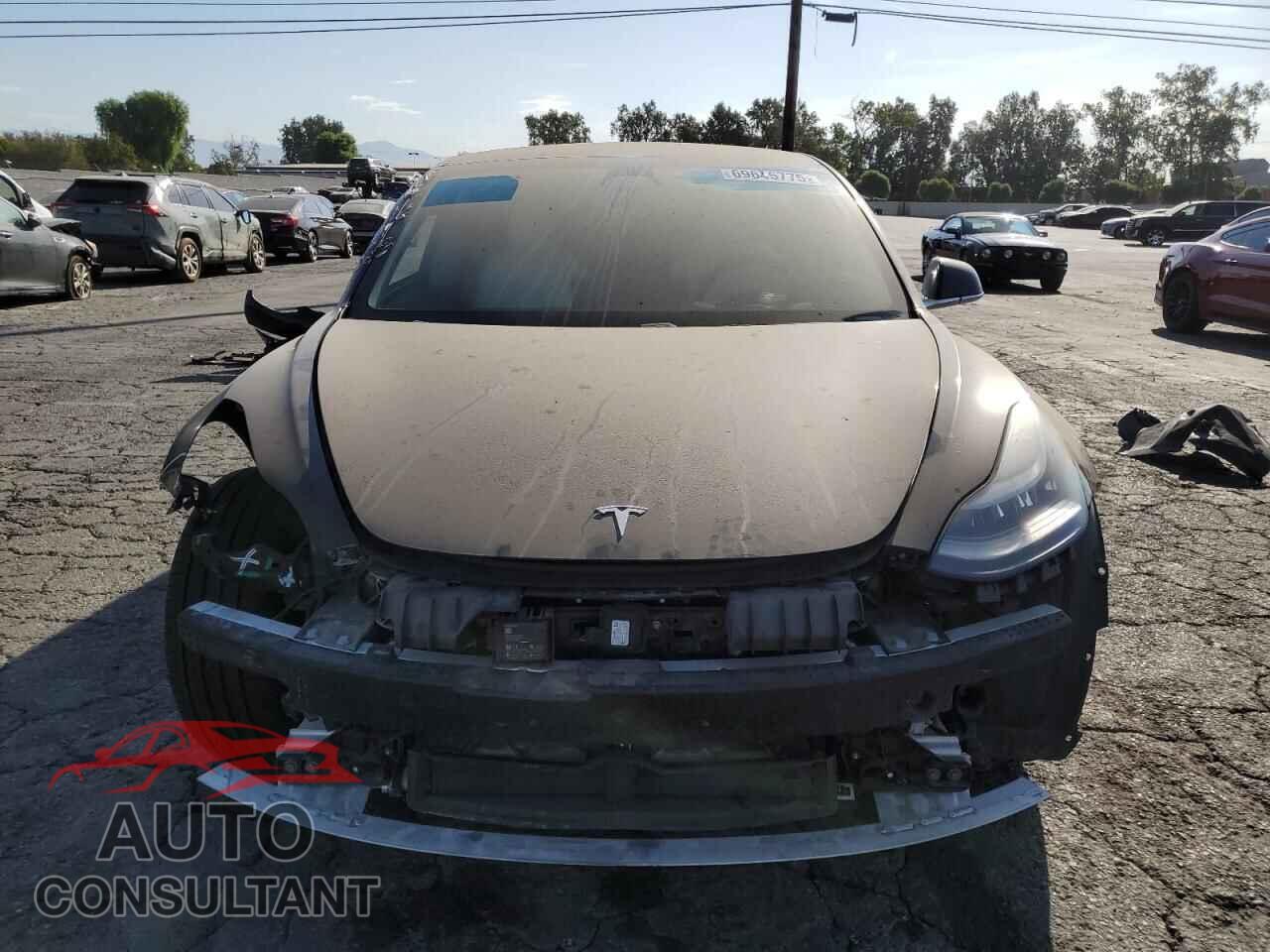 TESLA MODEL 3 2019 - 5YJ3E1EA3KF431412