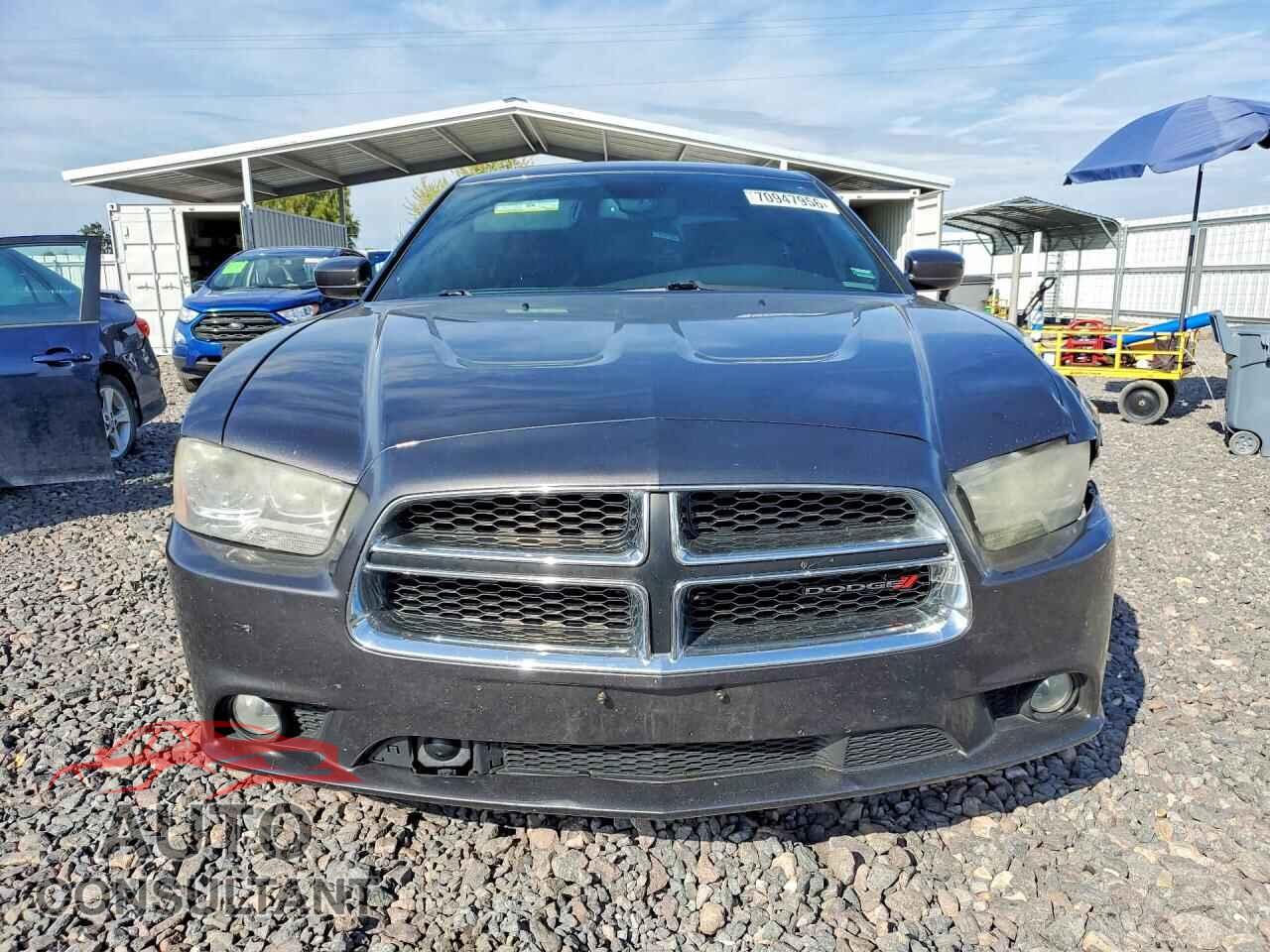 DODGE CHARGER 2014 - 2C3CDXDT8EH296357