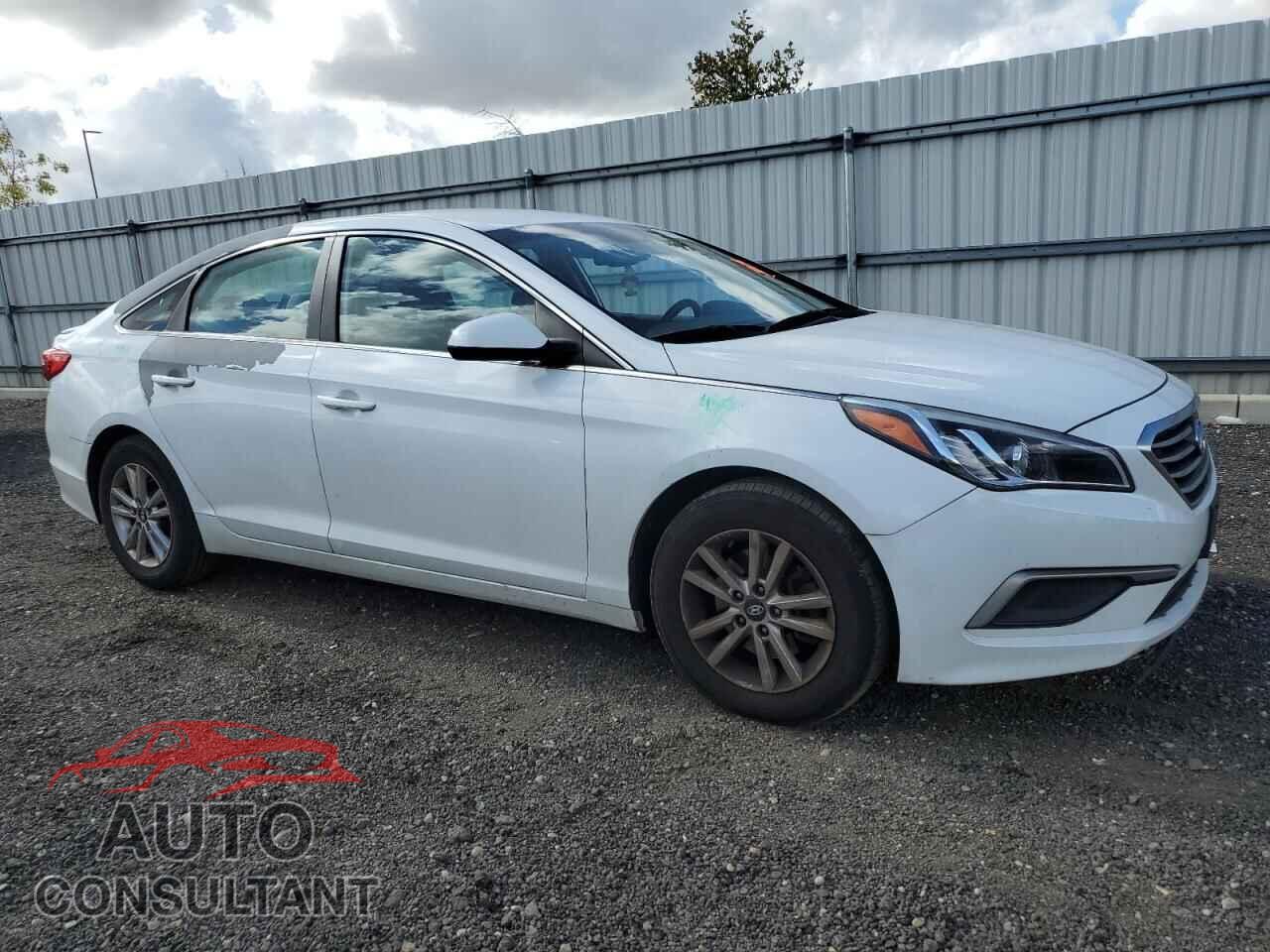 HYUNDAI SONATA 2017 - 5NPE24AF5HH536516
