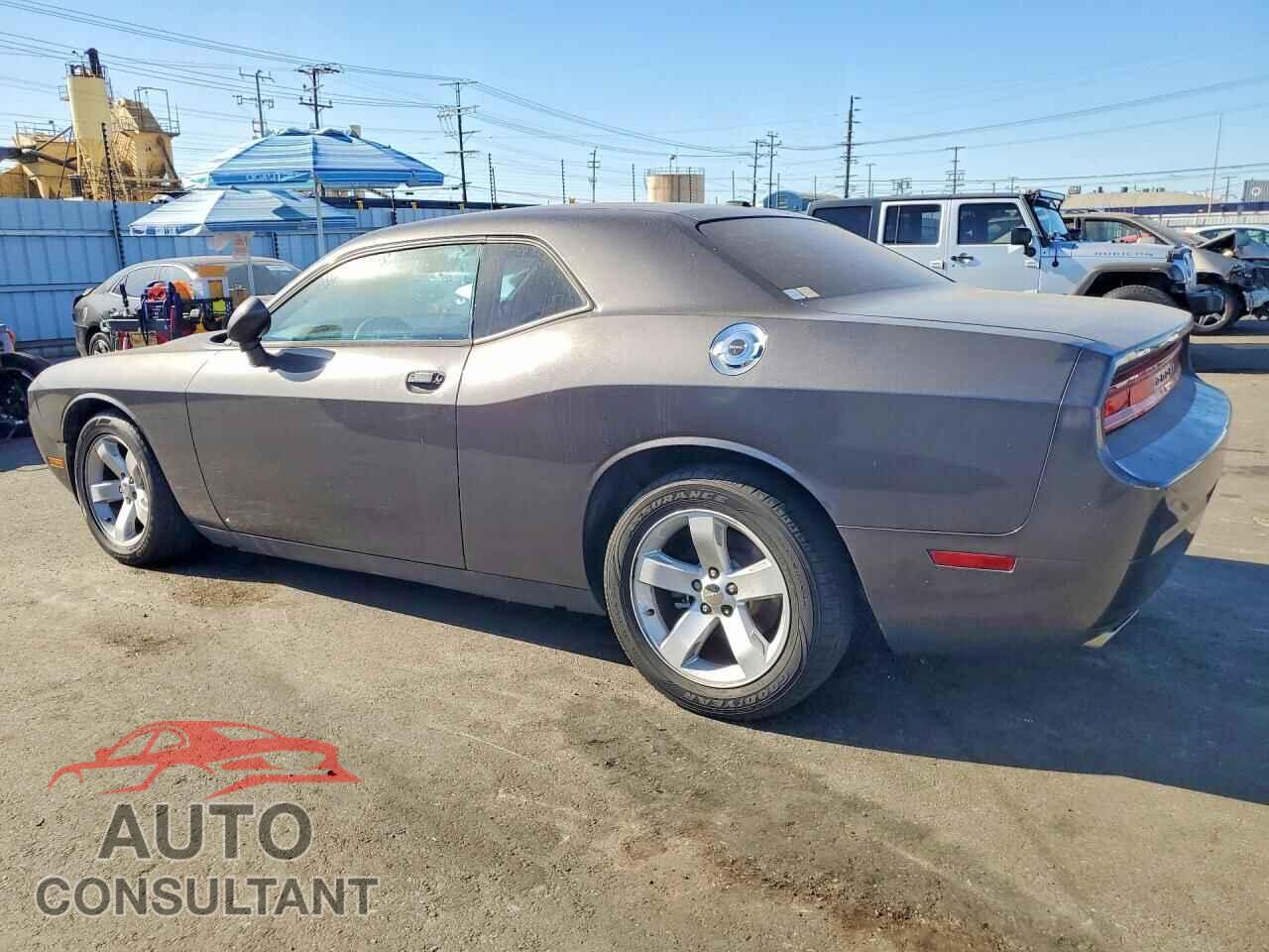 DODGE CHALLENGER 2013 - 2C3CDYAG4DH596571