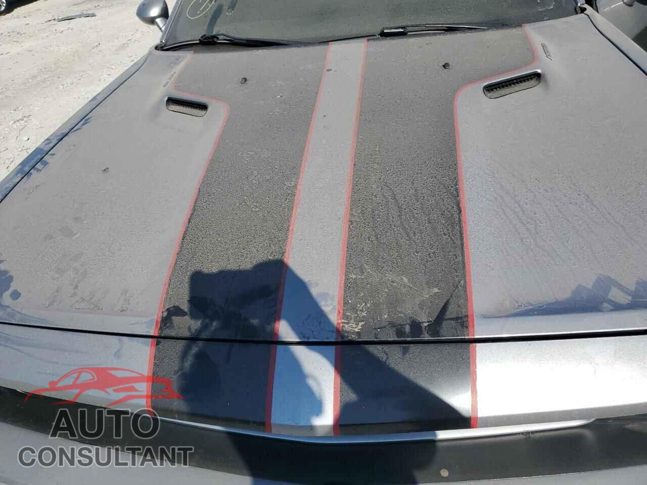 DODGE CHALLENGER 2014 - 2C3CDYBT0EH216767