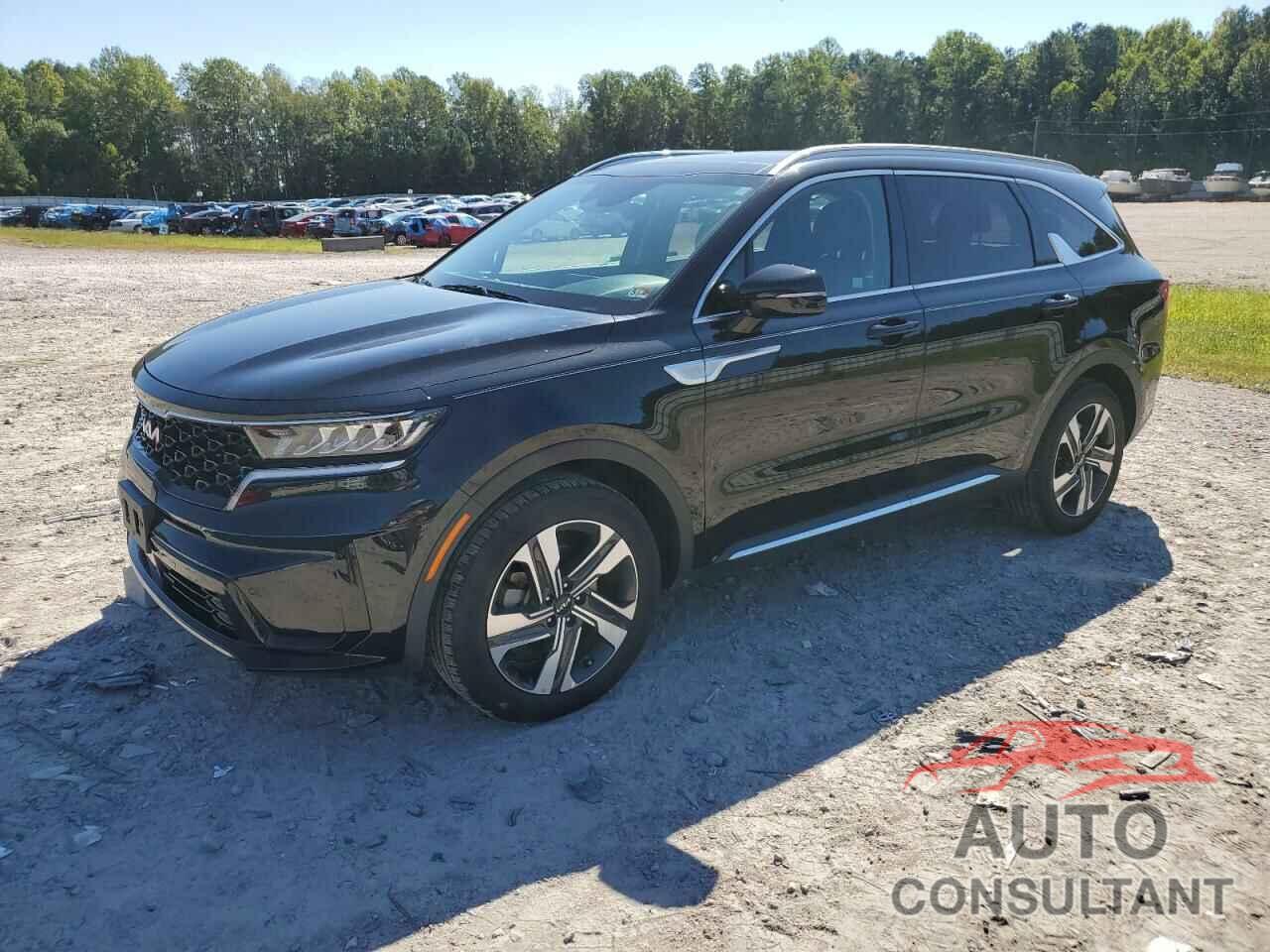 KIA SORENTO 2022 - KNDRHDLG4N5097262