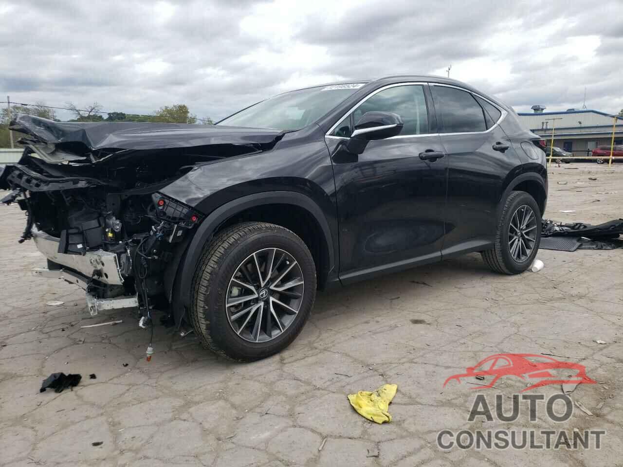 LEXUS NX 250 BAS 2024 - 2T2ADCAZ1RC014348