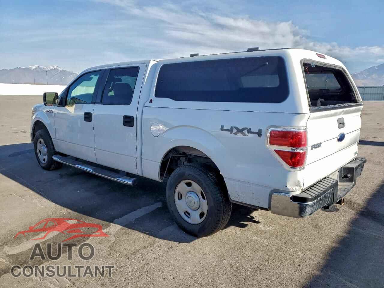 FORD F-150 2010 - 1FTFW1EV1AFD26357
