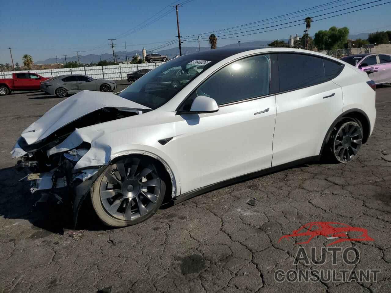 TESLA MODEL Y 2021 - 5YJYGDEE0MF161272