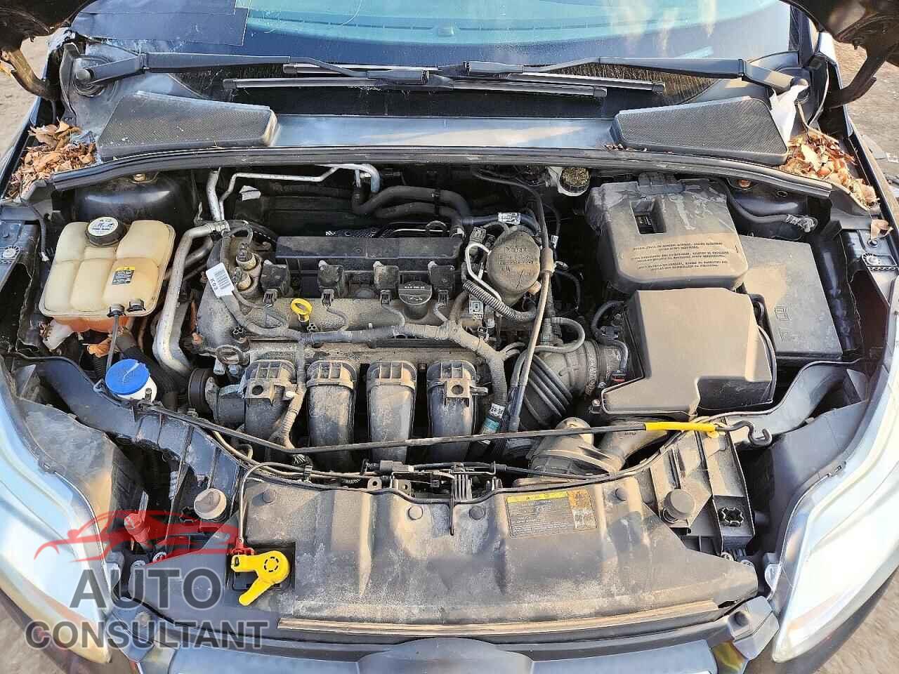 FORD FOCUS 2012 - 1FAHP3F20CL304334