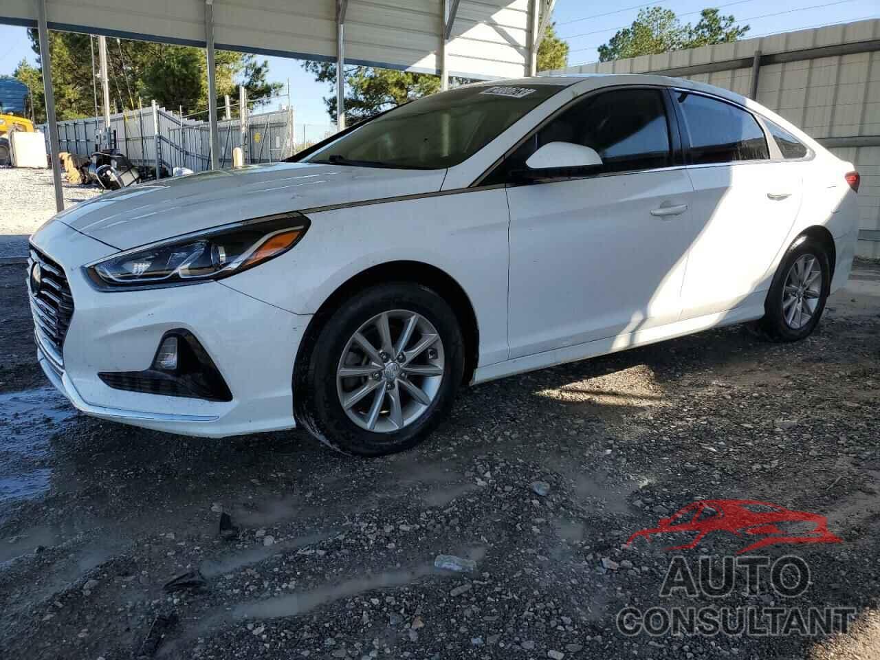 HYUNDAI SONATA 2019 - 5NPE24AF3KH801053