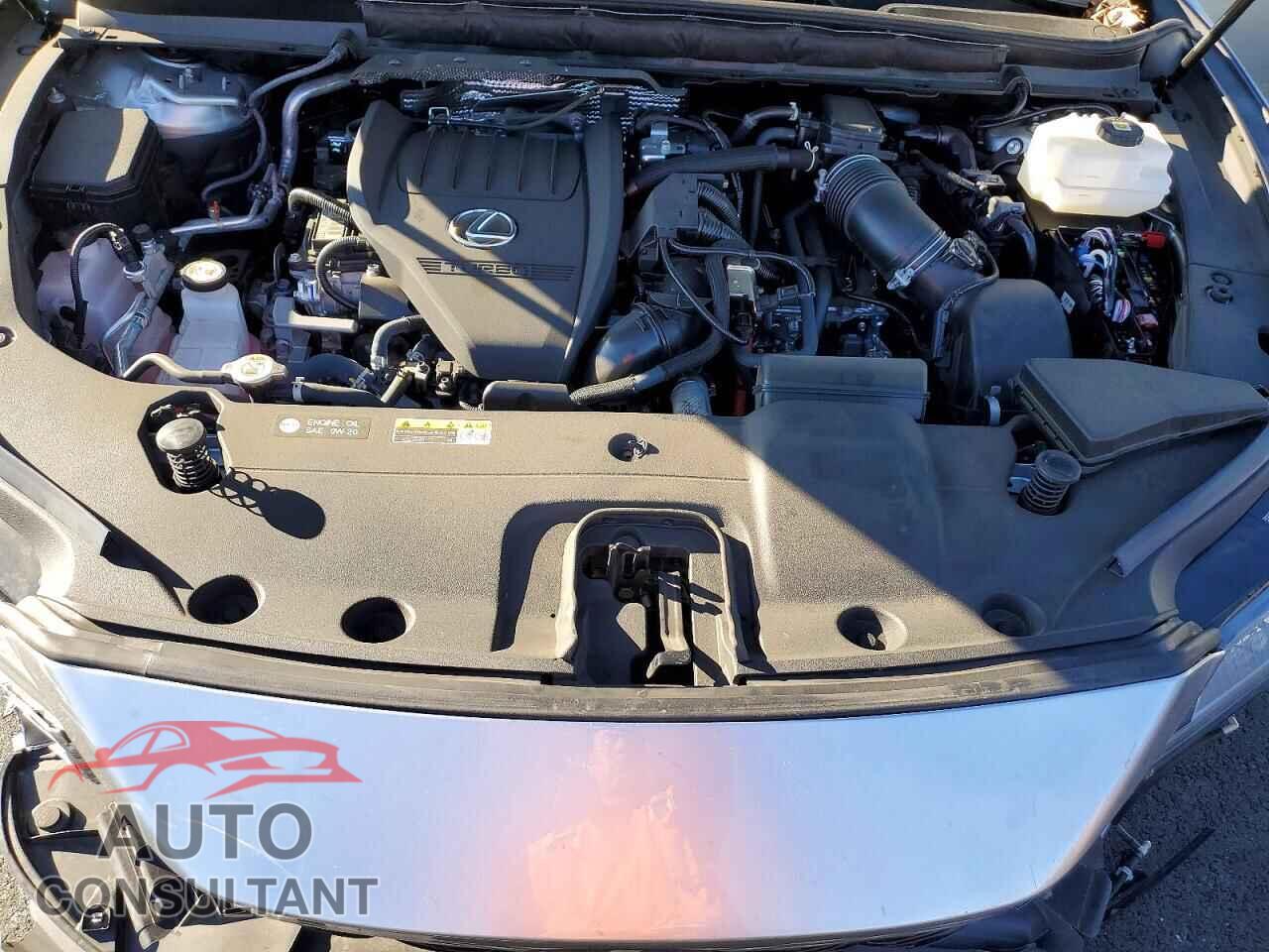 LEXUS RX 500H F 2024 - 2T2BCMEA3RC010805