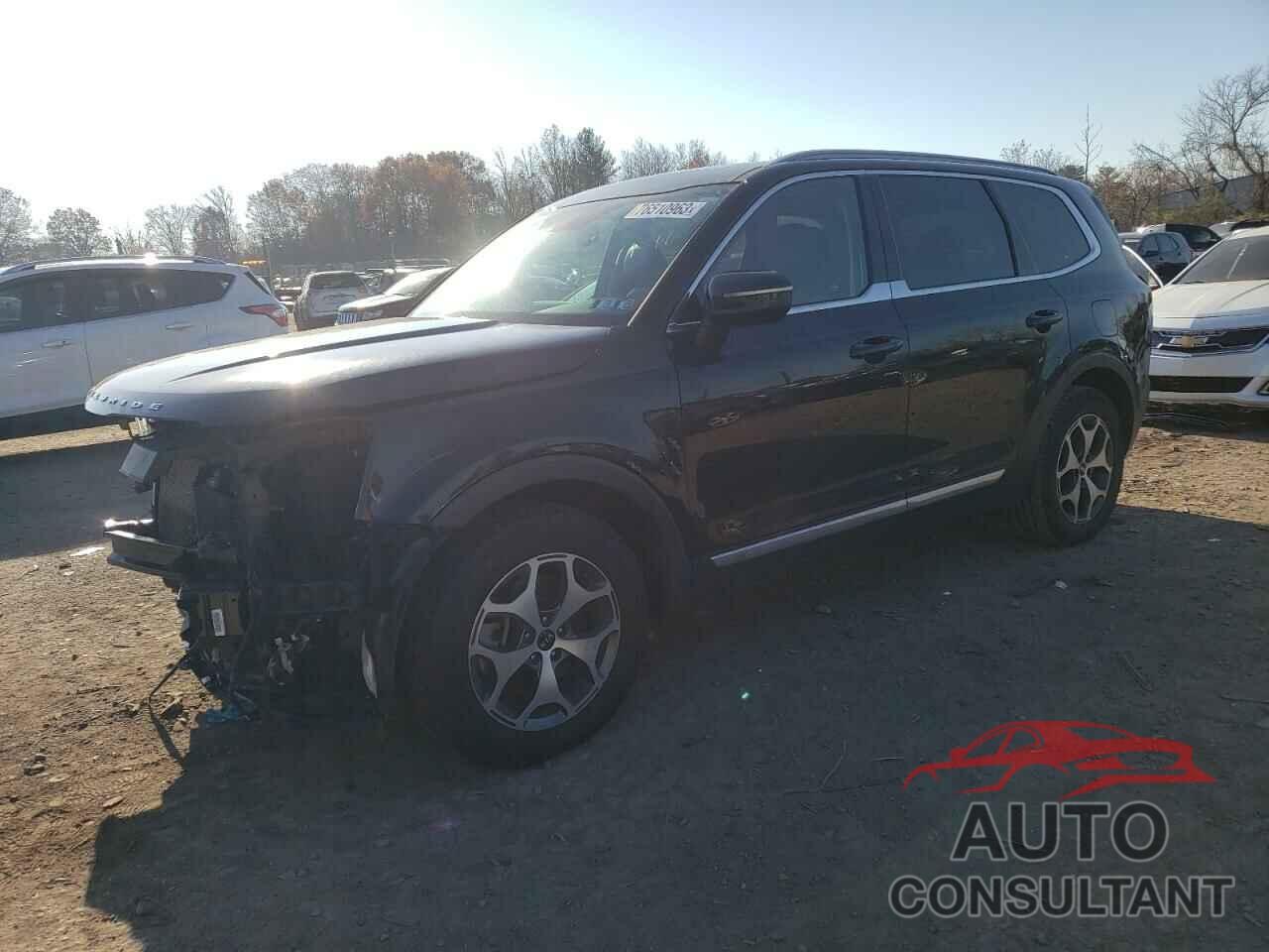 KIA TELLURIDE 2020 - 5XYP3DHC0LG048916