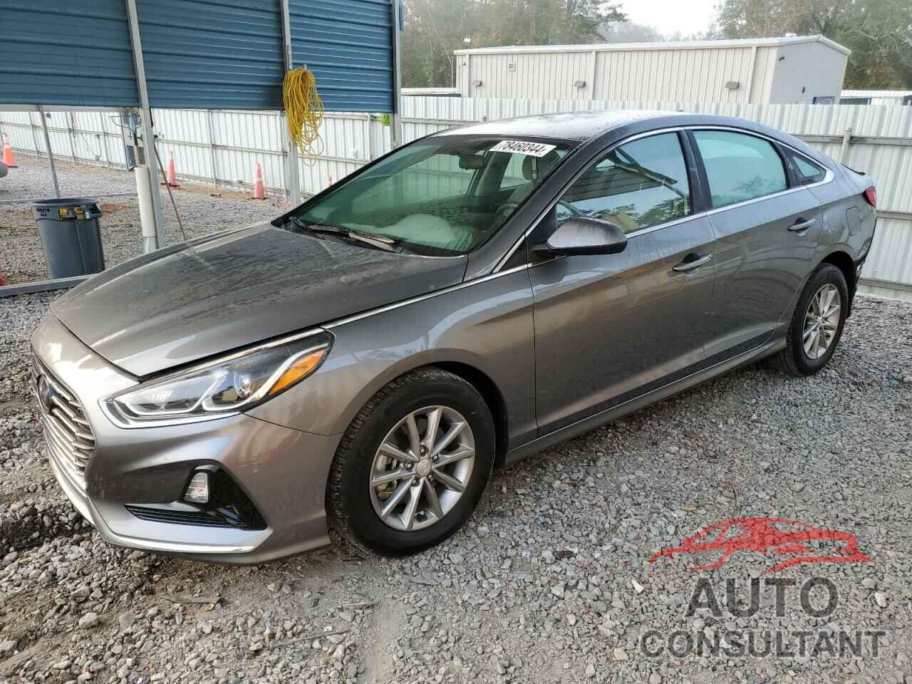 HYUNDAI SONATA 2019 - 5NPE24AF0KH789136