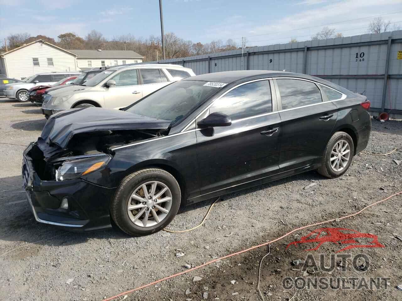 HYUNDAI SONATA 2019 - 5NPE24AF6KH767593