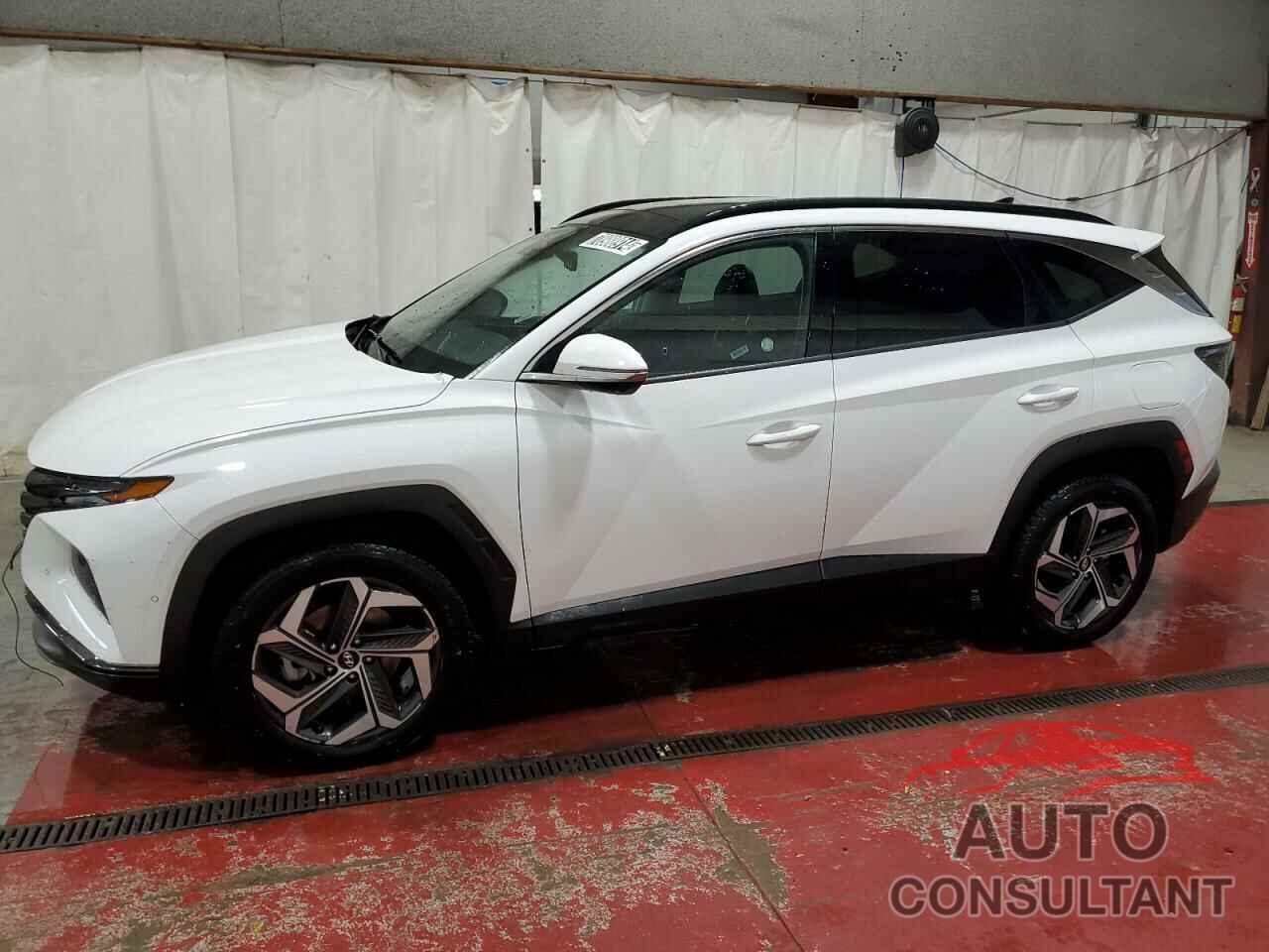 HYUNDAI TUCSON 2023 - 5NMJECAE5PH205888