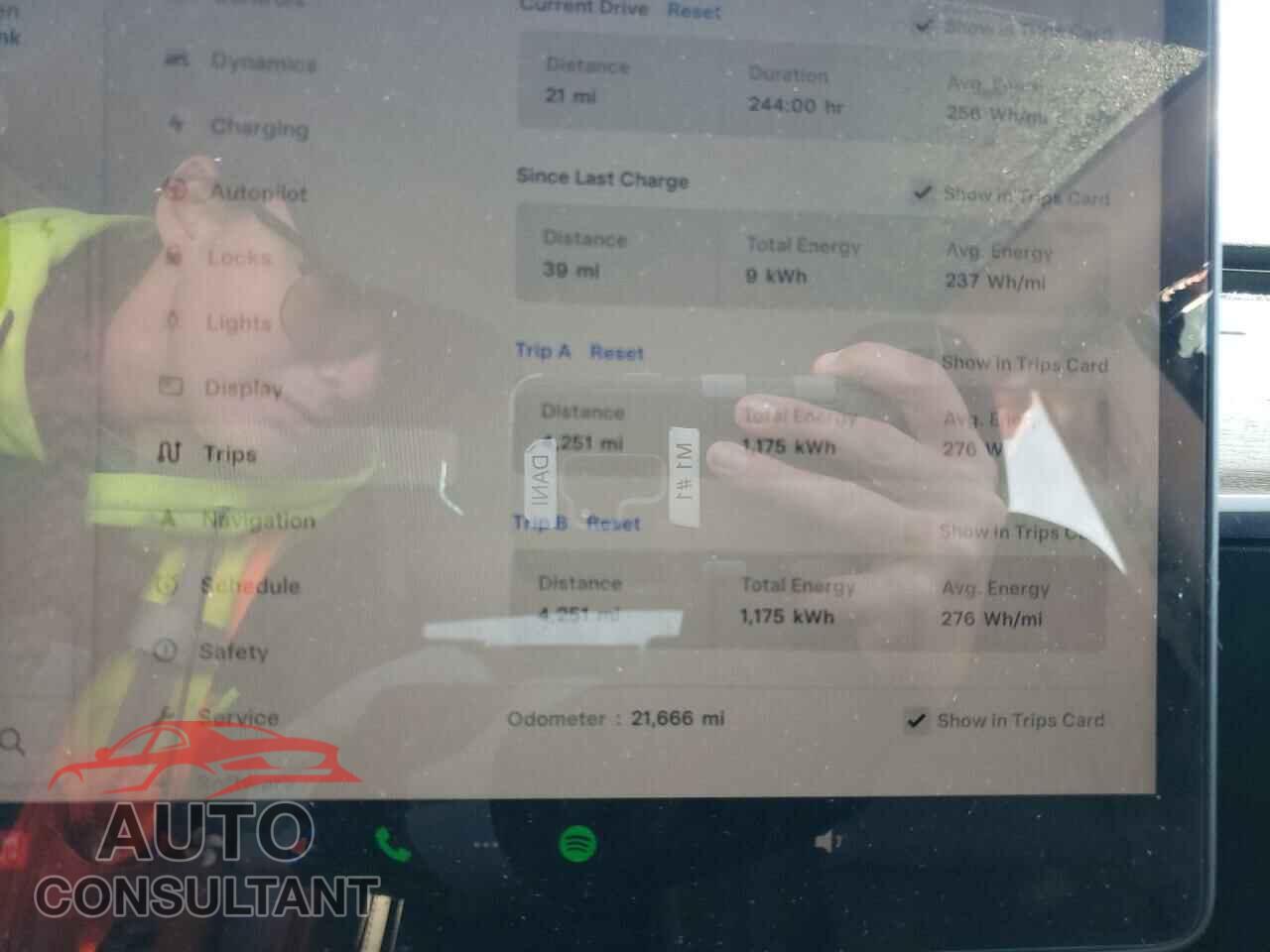 TESLA MODEL Y 2023 - 7SAYGAEE5PF703911