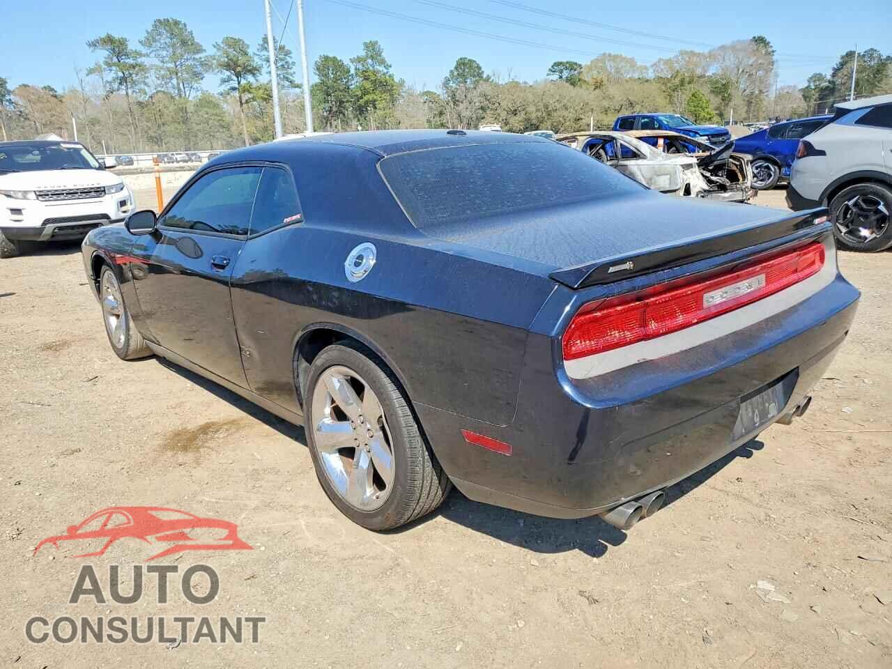 DODGE CHALLENGER 2012 - 2C3CDYBT4CH167294