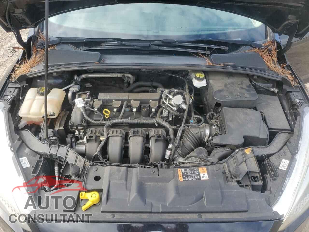 FORD FOCUS 2017 - 1FADP3F28HL329570
