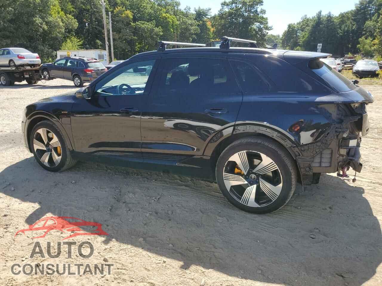 AUDI E-TRON 2022 - WA1LAAGE0NB005285