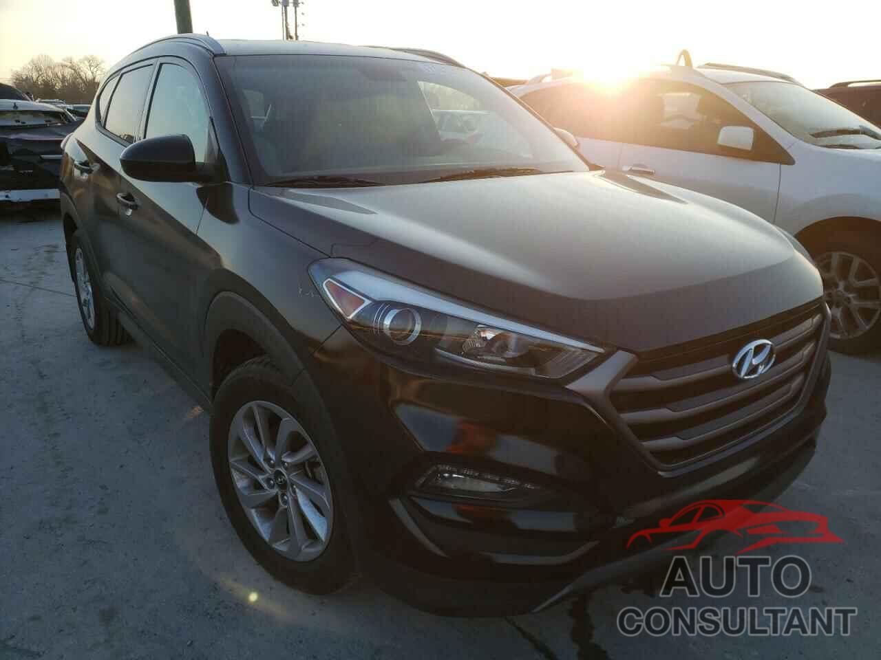 HYUNDAI TUCSON 2016 - KM8J33A29GU206994