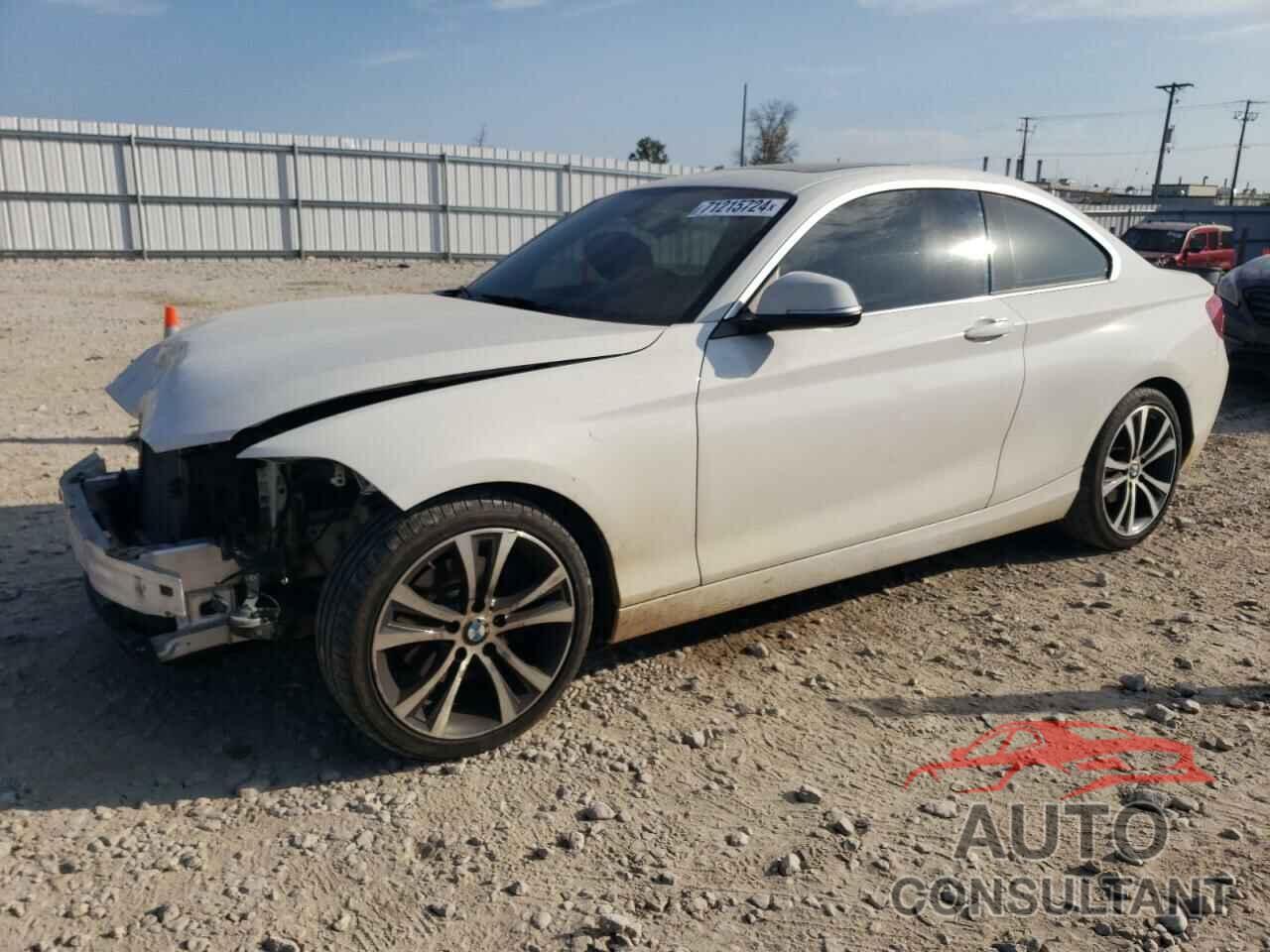 BMW 2 SERIES 2016 - WBA1G9C54GV598826