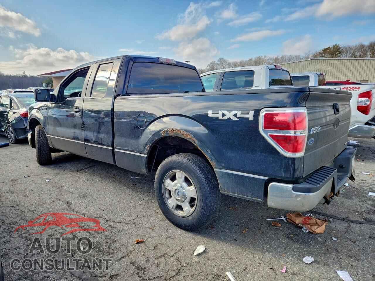 FORD F-150 2011 - 1FTFX1EF9BFA14861