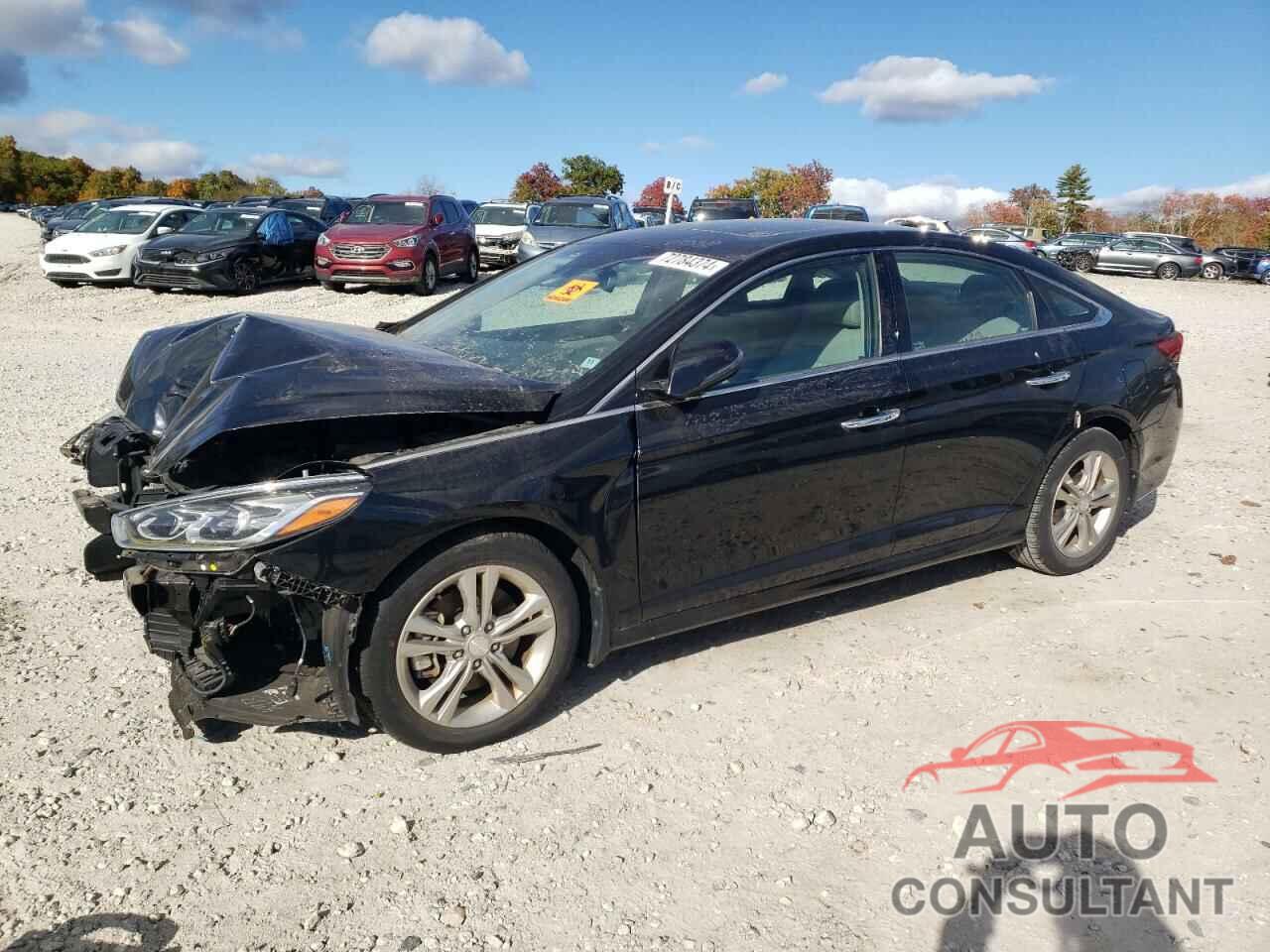 HYUNDAI SONATA 2019 - 5NPE34AF8KH732910